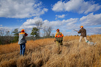 Cumberland-Bird-Hunt-MAntonio-19