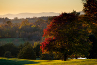 Fall Beauty